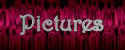 To the Pictures Page